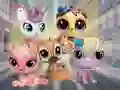 Little Pet Shop: Hide and Seek — δωρεάν online παιχνίδι