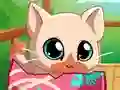 My Pocket Pets Kitty Cat — δωρεάν online παιχνίδι