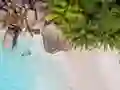 Seychelles Beach Jigsaw Puzzle — δωρεάν online παιχνίδι