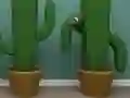 Cactus Cube — δωρεάν online παιχνίδι