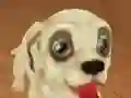 Pet Run Adventure — δωρεάν online παιχνίδι