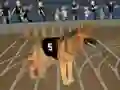 Crazy Dog Racing Fever — δωρεάν online παιχνίδι
