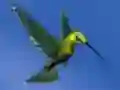 Hummingbird House Escape — δωρεάν online παιχνίδι