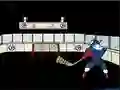 Capitaine Cage Hockey — δωρεάν online παιχνίδι