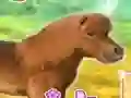 My Dear Pony — δωρεάν online παιχνίδι