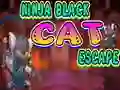 Ninja Black Cat Escape — δωρεάν online παιχνίδι