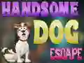 Handsome Dog Escape — δωρεάν online παιχνίδι
