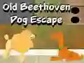 Old Beethoven Dog Escape — δωρεάν online παιχνίδι