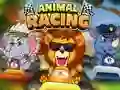 Animal Racing — δωρεάν online παιχνίδι