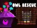Owl Rescue — δωρεάν online παιχνίδι