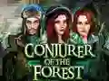 Conjurer Of The Forest — δωρεάν online παιχνίδι