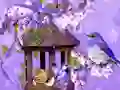 Wonderful Humming Bird Land Escape — δωρεάν online παιχνίδι