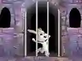Victory Rabbit Escape — δωρεάν online παιχνίδι