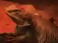 Dragon Lizard Jigsaw — δωρεάν online παιχνίδι