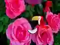 Precious Rose Escape — δωρεάν online παιχνίδι