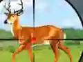 Wild Hunt Hunting Games 3D — δωρεάν online παιχνίδι