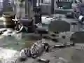 Friends Rescue From Skeleton — δωρεάν online παιχνίδι
