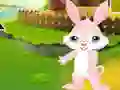 Find The Buddy Rabbit — δωρεάν online παιχνίδι