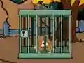 Staffordshire Bull Terrier Escape — δωρεάν online παιχνίδι