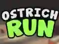 Ostrich Run — δωρεάν online παιχνίδι