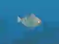 Fish Companions — δωρεάν online παιχνίδι