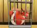Rescue The Red Squirrel From Cage — δωρεάν online παιχνίδι