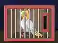 Release The Cockatiel Bird — δωρεάν online παιχνίδι