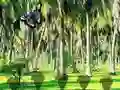 Rescue Tasmanian Tiger — δωρεάν online παιχνίδι