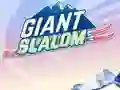 Giant Slalom — δωρεάν online παιχνίδι