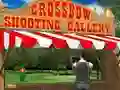 Crossbow Shooting Gallery — δωρεάν online παιχνίδι