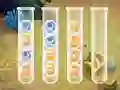 Sort Bubbles — δωρεάν online παιχνίδι