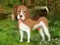 Flower Garden Dog Escape — δωρεάν online παιχνίδι