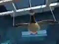 Goose Museum — δωρεάν online παιχνίδι