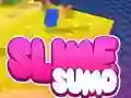 Sumo Slime 3D — δωρεάν online παιχνίδι