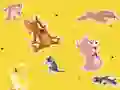 The Tom and Jerry Show Find it! — δωρεάν online παιχνίδι