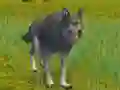 The Wolf: Wild Animal Simulator — δωρεάν online παιχνίδι