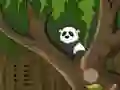 Panda Jungle Escape — δωρεάν online παιχνίδι