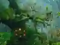 Innocent Sparrow Couple Escape — δωρεάν online παιχνίδι