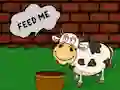 Find The Cow Feed — δωρεάν online παιχνίδι