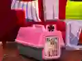 Escape The Small Pug — δωρεάν online παιχνίδι
