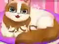 Cute Kitty Pregnant — δωρεάν online παιχνίδι