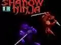 Shadow of the Ninja — δωρεάν online παιχνίδι