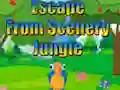 Escape from Scenery Jungle — δωρεάν online παιχνίδι