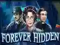 Forever Hidden — δωρεάν online παιχνίδι