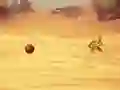 Monkey Shooting — δωρεάν online παιχνίδι