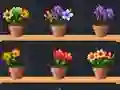 Good Flower Master — δωρεάν online παιχνίδι