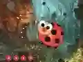Cute Ladybug Land Escape — δωρεάν online παιχνίδι