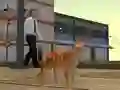 Cat City Simulator — δωρεάν online παιχνίδι