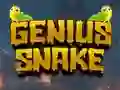 Genius Snake — δωρεάν online παιχνίδι