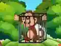 Free the Captive Ape — δωρεάν online παιχνίδι